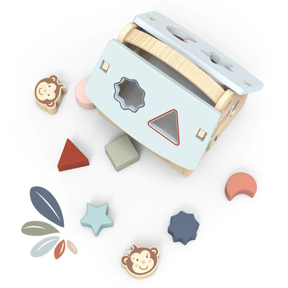 House Shape Sorter with 8 blocks