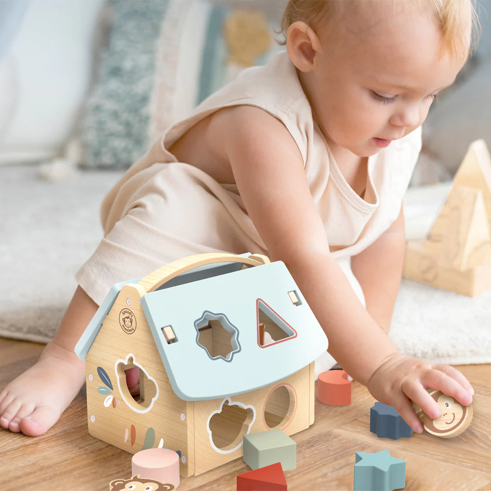 House Shape Sorter with 8 blocks