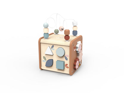 5 in 1 Activity Cube