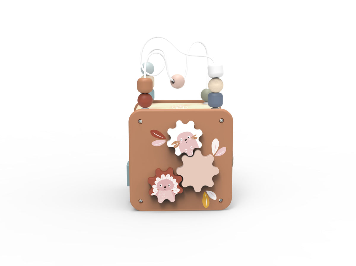 5 in 1 Activity Cube