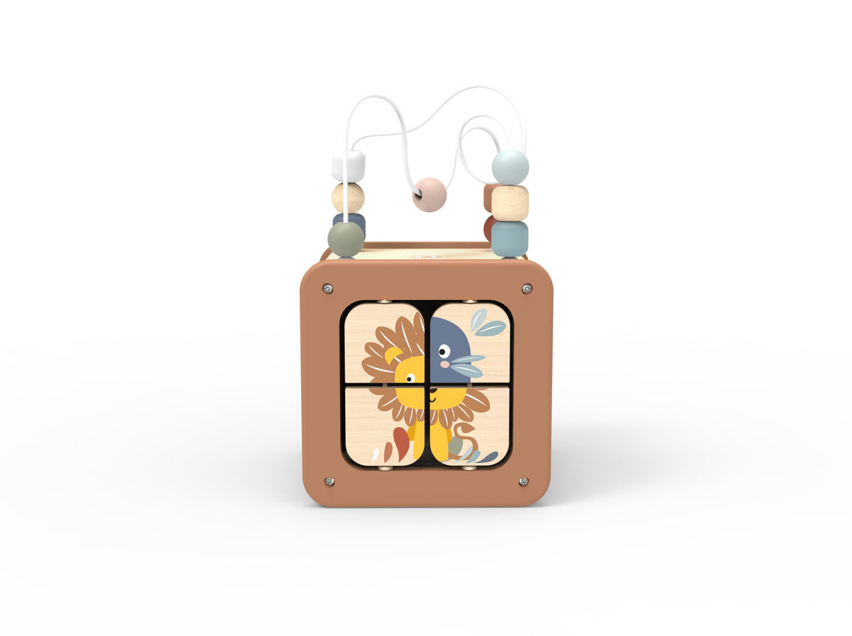 5 in 1 Activity Cube