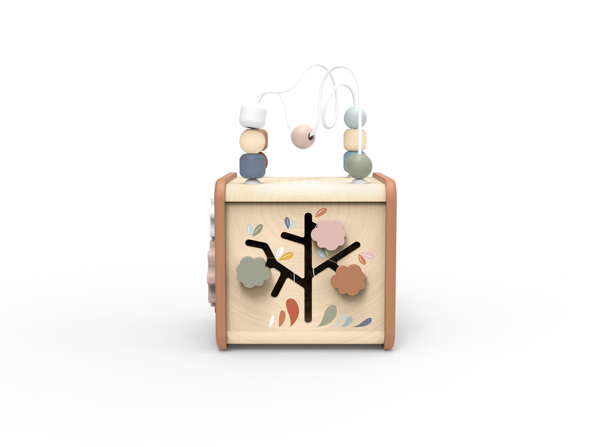 5 in 1 Activity Cube